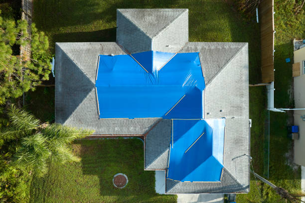 Best Metal Roofing Installation  in Day Heights, OH